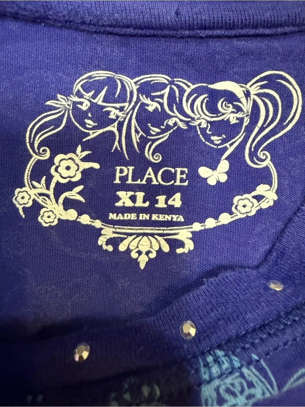 The Children’s Place Girls Fairy Butterfly Floral Long Sleeve Top XL 14
